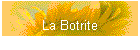 La Botrite