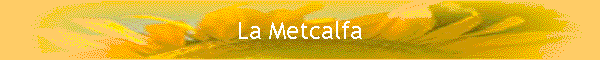La Metcalfa