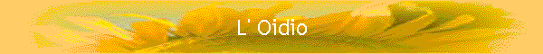 L' Oidio