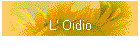 L' Oidio