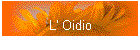 L' Oidio