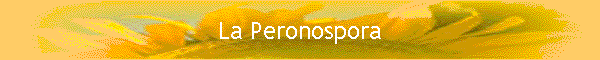 La Peronospora