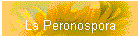 La Peronospora