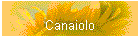 Canaiolo