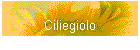 Ciliegiolo