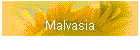 Malvasia