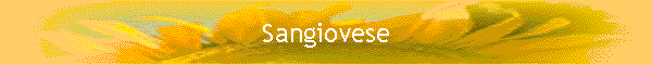 Sangiovese
