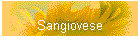 Sangiovese