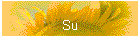 Su